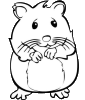 Интернет-магазин Hamster Wool
